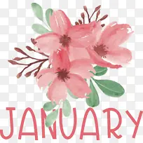 花卉 花卉设计 水彩画-空若网 花卉 花卉设计 水彩画-空若网