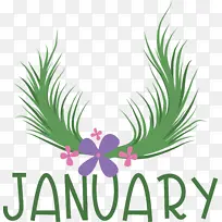 标志 棕榈 草-空若网 标志 棕榈 草-空若网