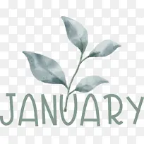 Ҷ �� ��ѧ-������