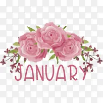 �滭 ֽ�� ˮ�ʻ�-������