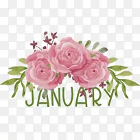 ÊÖ´ü Ë®²Ê» »¨»Ü-¿ÕÈôÍø ÊÖ´ü Ë®²Ê» »¨»Ü-¿ÕÈôÍø