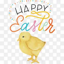 鸡 鸟 喙-空若网 鸡 鸟 喙-空若网