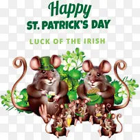 啮齿动物 生日-空若网 啮齿动物 生日-空若网