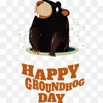 ��־ ��ͨ �Ǳ�-������