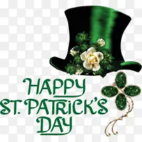 花 树 米-空若网 花 树 米-空若网