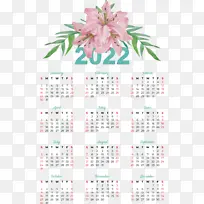 ���� ���� �Ǳ�-������