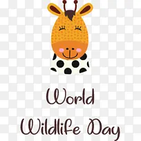 ��ͨ ���� ��-������