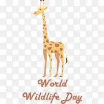 ����¹ ¹ ��-������