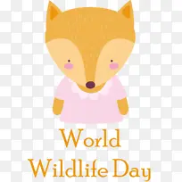 猫 小 鼻子-空若网 猫 小 鼻子-空若网