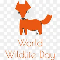 猫 小 鼻子-空若网 猫 小 鼻子-空若网