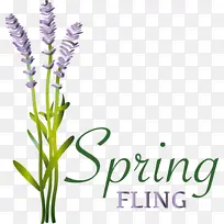 Ӣ��޹�²� �� ����-������