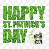 ��־ ��ɫ ��-������