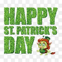 ��ɫ ��ľ �Ǳ�-������