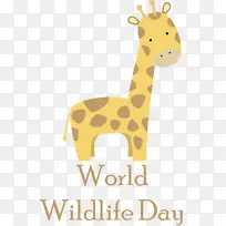 ����¹ �� ��ѧ-������