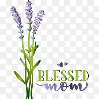 花卉 植物 英国薰衣草-空若网 花卉 植物 英国薰衣草-空若网