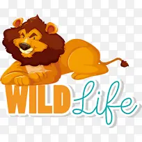 狮子 猫 卡通-空若网 狮子 猫 卡通-空若网