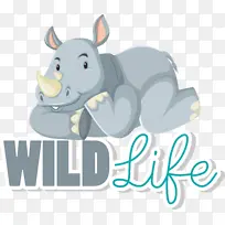 马 鼻子 相同-空若网 马 鼻子 相同-空若网