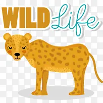 猫 猫一样 鼻子-空若网 猫 猫一样 鼻子-空若网