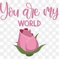 �滭 ���� ��˰���-������