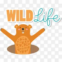 卡通 仪表 生物学-空若网 卡通 仪表 生物学-空若网