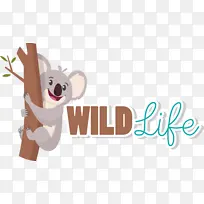 �д����� ��ͨ ��־-������