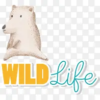 熊 北极熊 鼻子-空若网 熊 北极熊 鼻子-空若网