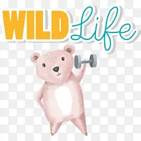 熊 泰迪熊 鼻子-空若网 熊 泰迪熊 鼻子-空若网