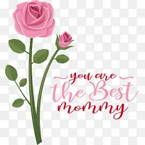 花卉设计 花卉 绘画-空若网 花卉设计 花卉 绘画-空若网