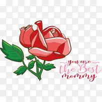 花卉设计 绘画 罗德岛设计学院-空若网 花卉设计 绘画 罗德岛设计学院-空若网