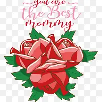 罗德岛设计学院 花卉设计 绘画-空若网 罗德岛设计学院 花卉设计 绘画-空若网