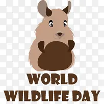 啮齿动物 狗 鼻子-空若网 啮齿动物 狗 鼻子-空若网