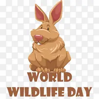 卡通 皇家自由 阿拉米-空若网 卡通 皇家自由 阿拉米-空若网