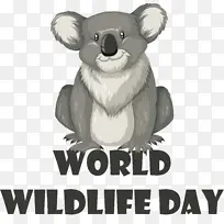 抽认卡 字母表 创建-空若网 抽认卡 字母表 创建-空若网