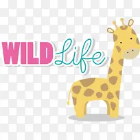 长颈鹿 野生动物 动物雕像-空若网 长颈鹿 野生动物 动物雕像-空若网