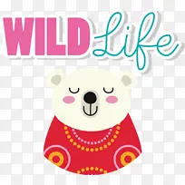 泰迪熊 鼻子 卡通-空若网 泰迪熊 鼻子 卡通-空若网