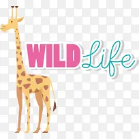 ����¹ �� ��ѧ-������