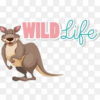 �д����� ���㶯�� ����-������