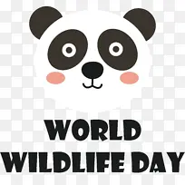 鼻子 卡通 泰迪熊-空若网 鼻子 卡通 泰迪熊-空若网