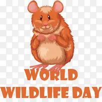 啮齿动物 仓鼠 鼻子-空若网 啮齿动物 仓鼠 鼻子-空若网