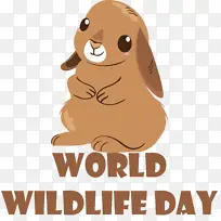 狗 人 鼻子-空若网 狗 人 鼻子-空若网