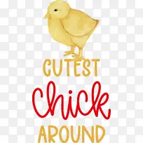 ���� � ��ɫ-������