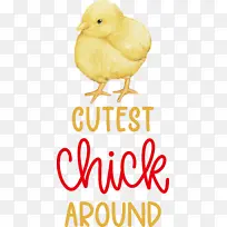 �� � ��-������