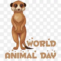 �� ���� ����-������