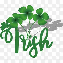 ËÄÒ¶²Ý ÐÒÔË²Ý ÈýÒ¶²Ý-¿ÕÈôÍø ËÄÒ¶²Ý ÐÒÔË²Ý ÈýÒ¶²Ý-¿ÕÈôÍø