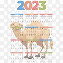 ���� ����� ��ѧ-������