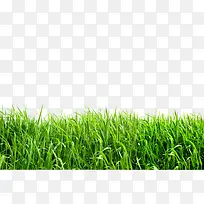 ֲ���̲�����ز�4-������