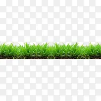 ֲ���̲�����ز�5-������