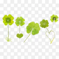 ������Ҷ���ز�-������