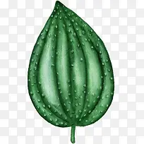 绿色植物卡通手绘-空若网 绿色植物卡通手绘-空若网