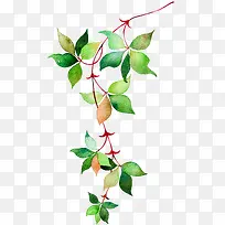 绿色植物手绘树枝-空若网 绿色植物手绘树枝-空若网